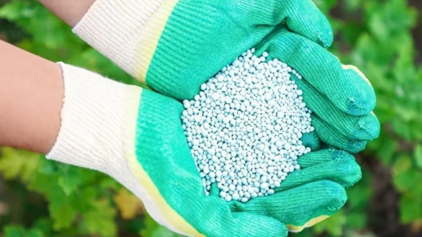 Brasil fortalece setor agrícola com importação de fertilizante cazaque - Metrópoles