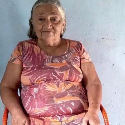 Mulher de 75 anos morre após ataque de enxame de abelhas no Ceará