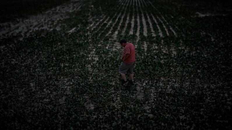 A agricultura argentina foi um dos motores do crescimento da atividade econômica do país em março — Foto: Sebastian Lopez Brach/Bloomberg