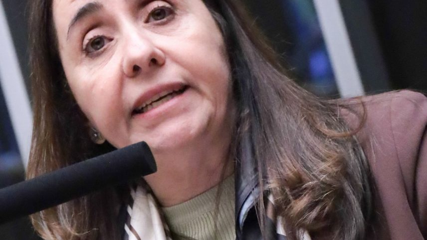 Adriana Ventura diz que PL transforma punição em prêmio para partidos — Foto: Thiago Cristino/Câmara dos Deputados