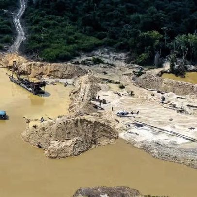 Greenpeace aponta lavagem de US$ 3,8 bi em ouro ilegal na Amazônia