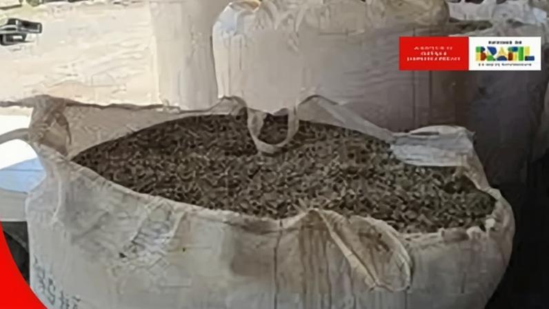 Apreensão de milhares de quilos irregulares de produtos relacionados de café aconteceu em 19 estabelecimentos