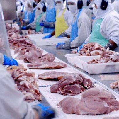 Suspensão de exportações para a UE pode gerar prejuízo de US$ 1,8 bilhão