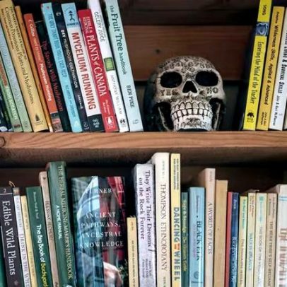 Reflexão sobre a literatura de horror brasileira