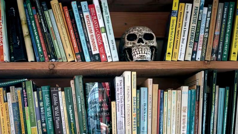 A barreira da língua é um entrave para a literatura de horror brasileira. Mas há algo além impedindo a internacionalização das produções de horror nacionais?