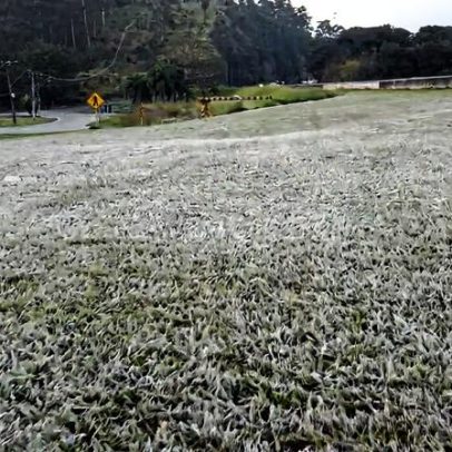 Santa Catarina pode registrar -5ºC e geada; veja onde
