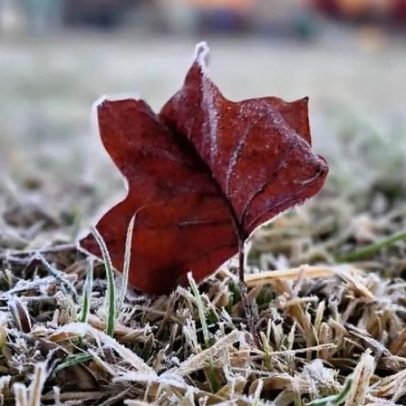 Geada e temperaturas negativas atingem o Sul do Brasil ao amanhecer