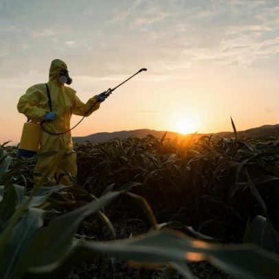 Agrotóxicos, água e saúde: produzir alimentos sem contaminar o futuro