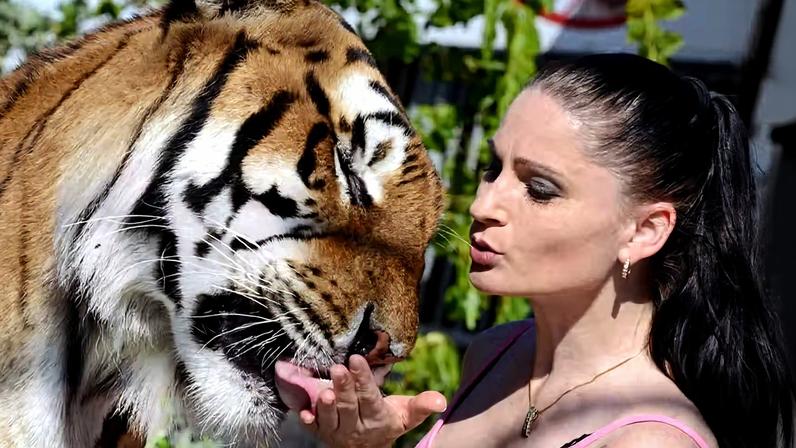 A mídia local afirma que o tigre pertencia à controversa treinadora Carmen Zander, também conhecida como a 'Rainha dos Tigres' da Alemanha.