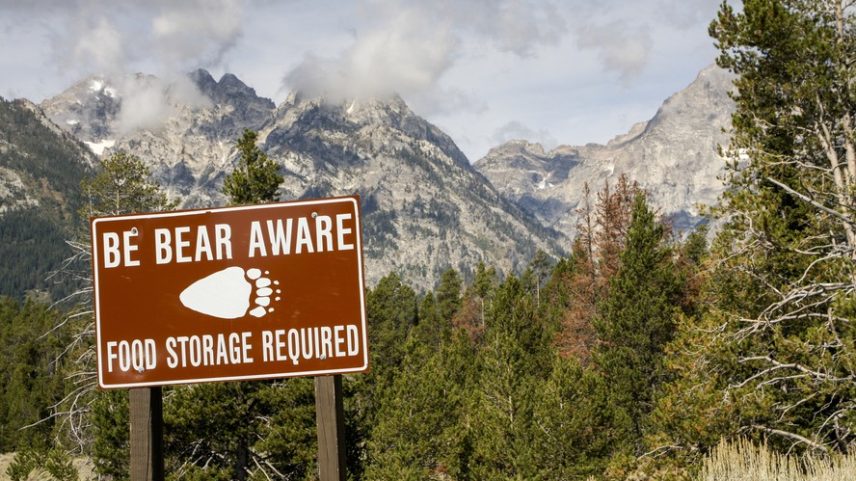 Placa alerta turistas sobre presença de ursos em Yellowstone, parque nacional dos Estados Unidos que registrou ataque a dois visitanres em uma trilha próxima ao Old Faithful. — Foto: Santiago Urquijo/Getty Images