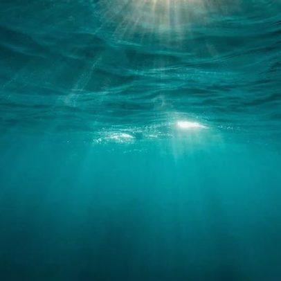 Clima e oceano avançam da transição energética para desmatamento zero