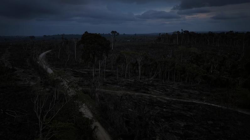 Área desmatada na Floresta Nacional do Jamanxim, no Pará, em 2000. A região, há anos, enfrenta pressão associada ao avanço da fronteira agropecuária e de projetos de infraestrutura na Amazônia.