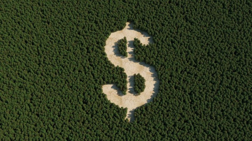 Ilustração para geração de valor a partir da floresta — Foto: Getty Images