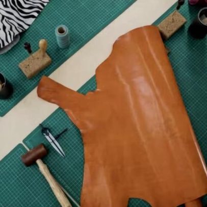 Entre moda europeia e couro brasileiro, desafios para a agenda climática