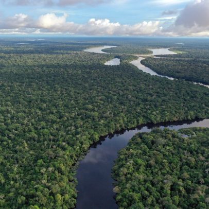 Governo vai monitorar presença de agrotóxicos em bacias hidrográficas