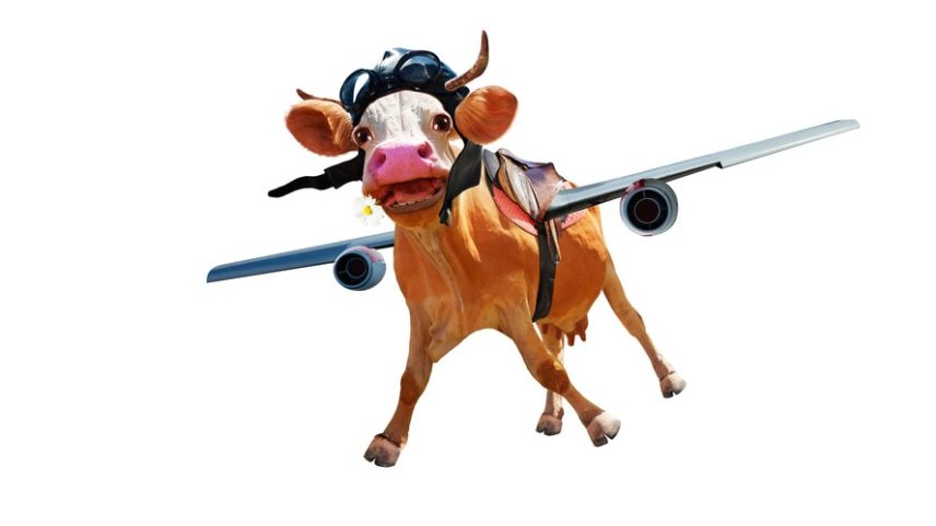 Bolsa renova lista de 'vacas leiteiras': veja as 3 ações que estreiam no índice de dividendos — Foto: Getty Images