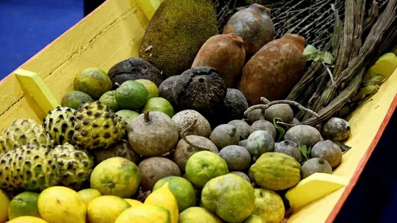 Cesta com variedade de frutas da Amazônia — Foto: Getty Images