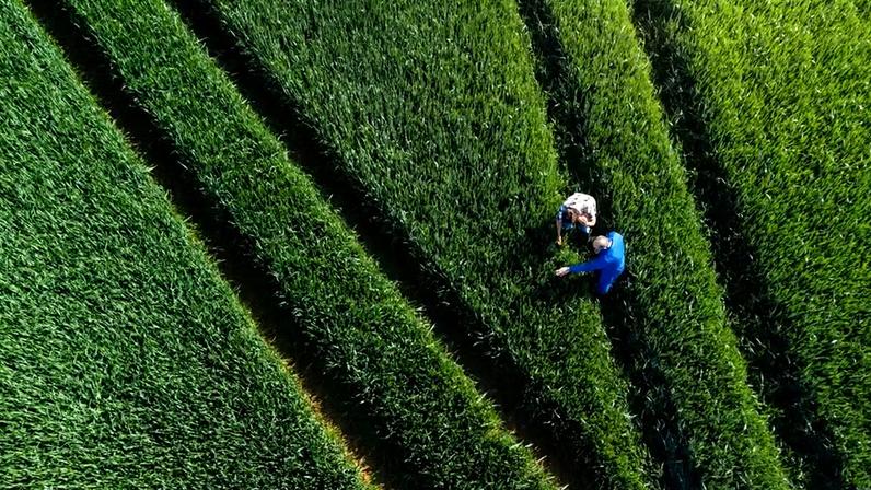 Vista aérea de agricultor apresenta lavoura em propriedade no nordeste da Inglaterra