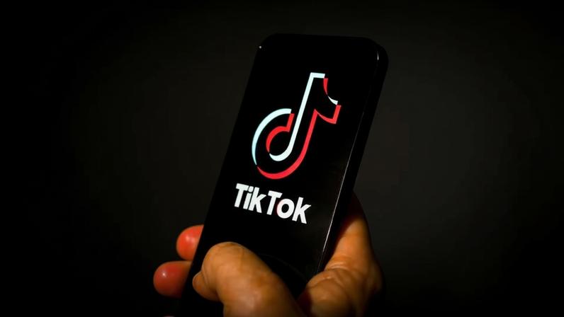 68% dos empreendedores presentes no TikTok crescem exclusivamente a partir do alcance orgânico