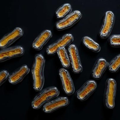 Clima acelera resistência a antibióticos, aponta estudo