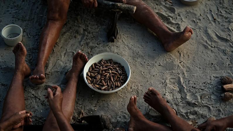 Plano de bioeconomia considera conhecimentos tradicionais — Foto: Getty Images