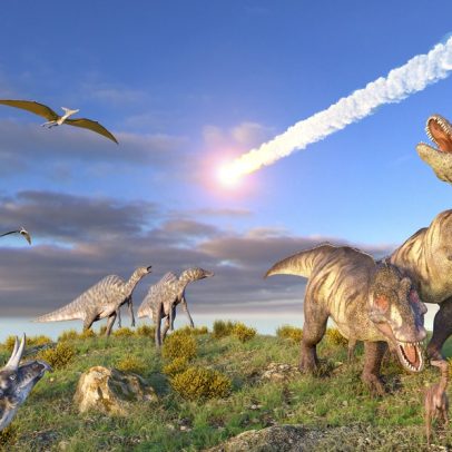 Traço genético de plantas que ajudou na sobrevivência aos dinossauros pode ajudar no clima