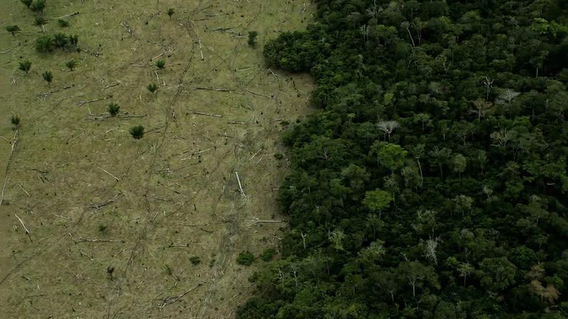 Desmatamento na Amazônia.
