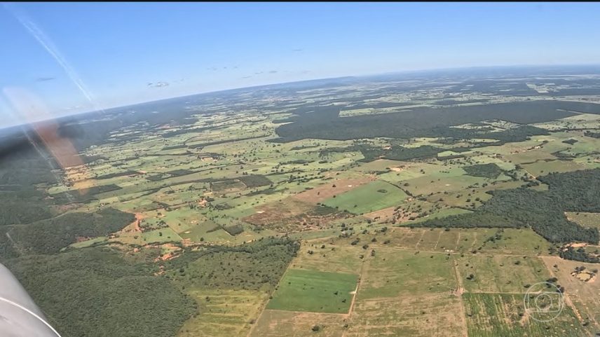 Em 2025, desmatamento no Brasil atinge menor nível em 7 anos — Foto: Jornal Nacional/ Reprodução