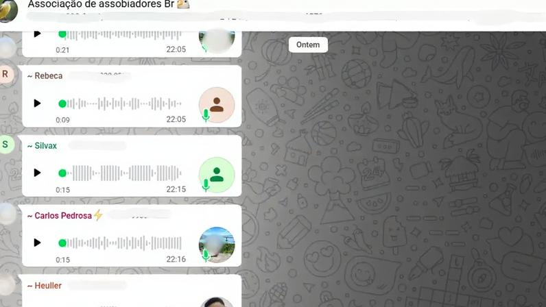Dia a dia no grupo envolve milhares de áudios de assobios