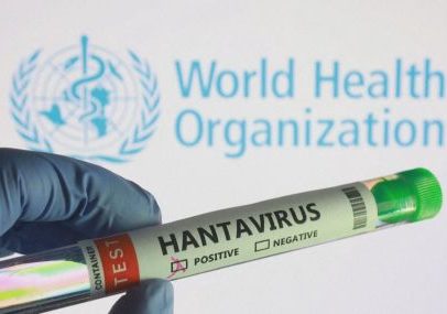 Entenda como ocorre a transmissão do hantavírus