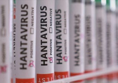 Crise do hantavírus: informações essenciais sobre transmissão e prevenção