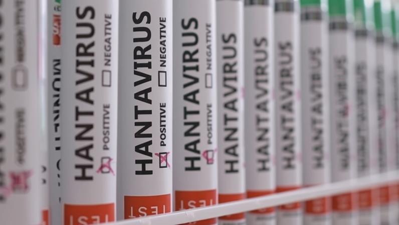 Países do mundo todo buscam impedir a propagação do hantavírus após um surto em um cruzeiro de luxo