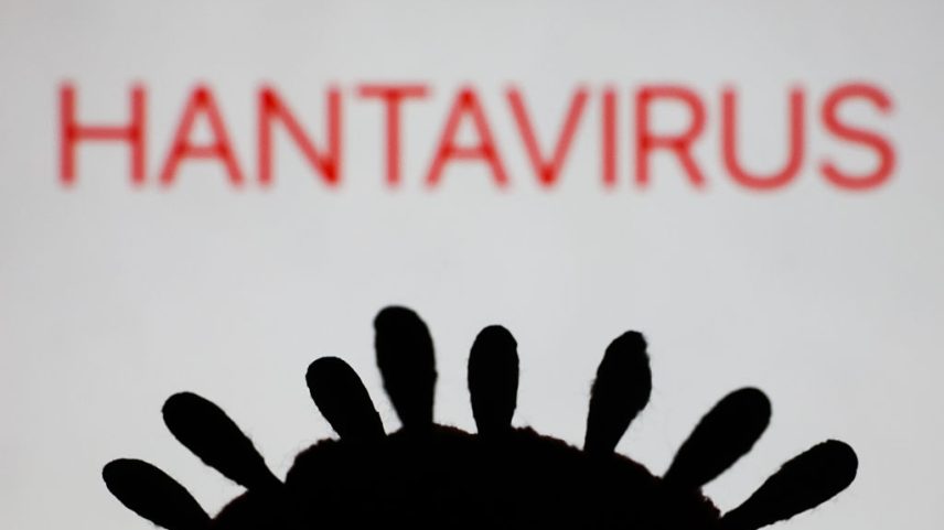 hantavirus prevention and protection tips, products