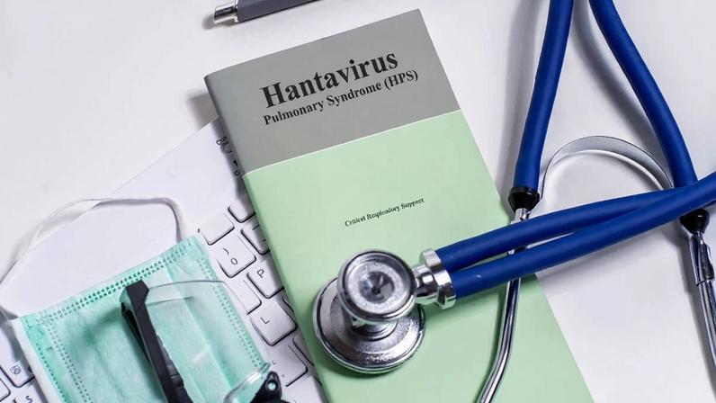 Nova variante do hantavírus aumenta preocupação da população com risco de pandemia