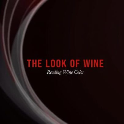 Crítico avalia novo título The Look of Wine: Reading Wine Color