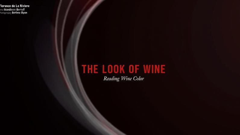 Crítico avalia novo título The Look of Wine: Reading Wine Color