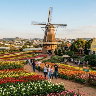 Cidade perto de SP produz 40% das flores do Brasil com 500 holandeses