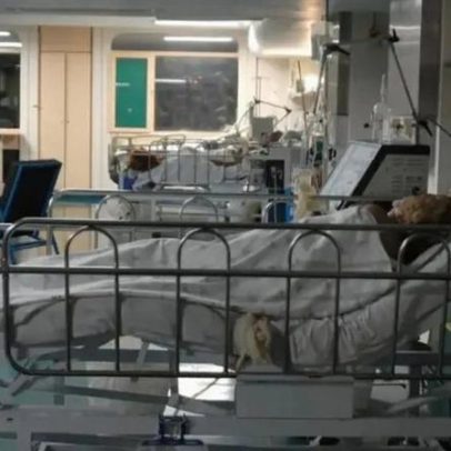 Uesb alerta sobre avanço de superbactérias em hospitais