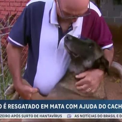 Idoso é resgatado em SP com ajuda do cachorro da família