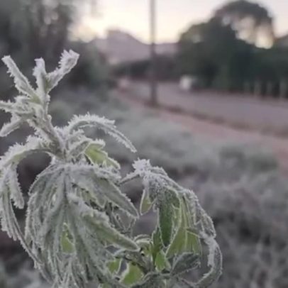 Sul do Brasil registra temperaturas negativas e cidades amanhecem congeladas