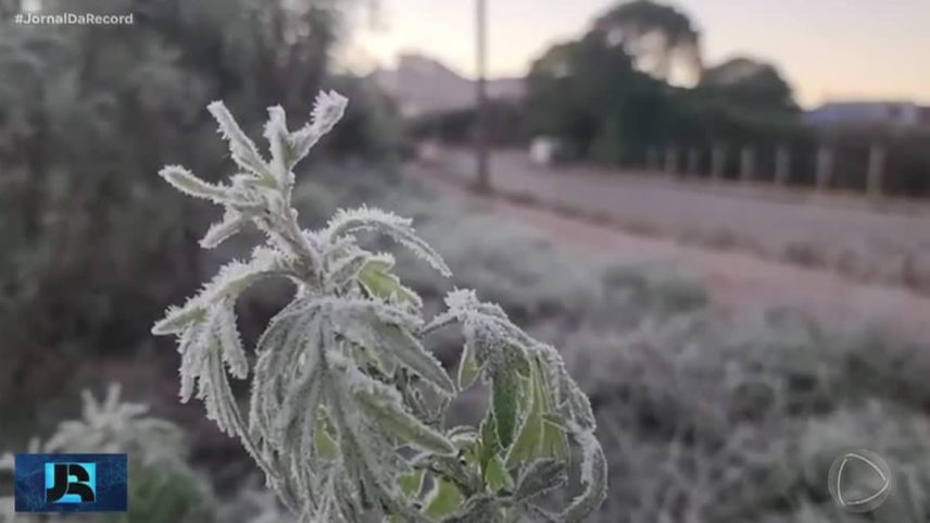 Sul do Brasil registra temperaturas negativas e cidades amanhecem congeladas