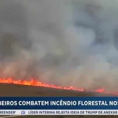 Bombeiros combatem incêndio florestal em parque da Flórida