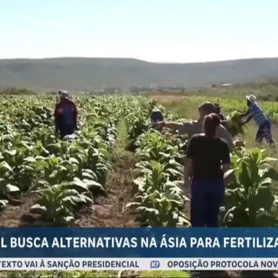 Brasil busca novos fornecedores de fertilizantes diante da crise no Oriente Médio