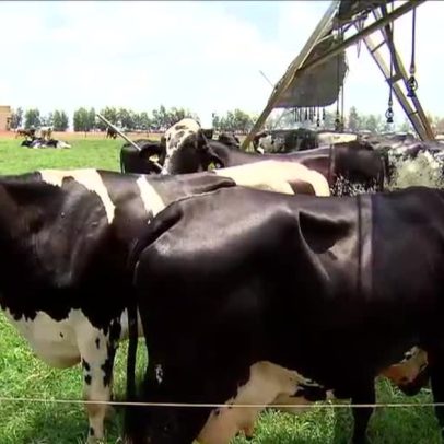 UE restringe importação de carnes brasileiras por regras sanitárias
