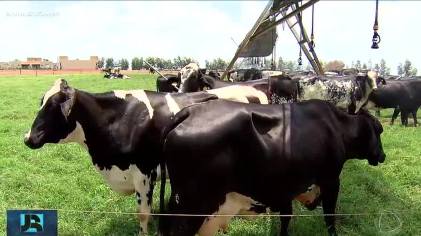 Entenda por que a União Europeia restringiu a importação de carnes do Brasil por regras sanitárias