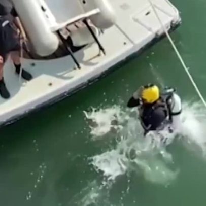 Marinha e PF usam mergulhadores para localizar cargas de drogas em navios