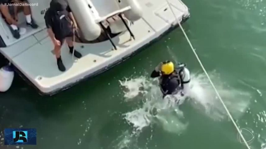 Marinha e PF usam mergulhadores profissionais para encontrar cargas de drogas em navios