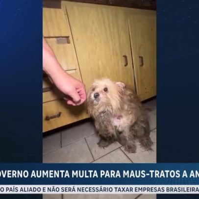 Governo de São Paulo aumenta multas por maus-tratos a animais e endurece punições