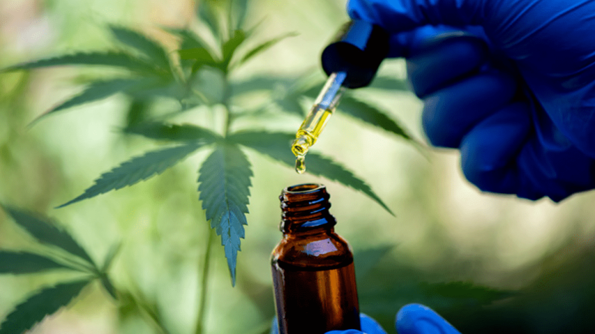 Corte Especial do STJ rejeita mandado de injunção que buscava autorização para cultivo individual de cannabis.