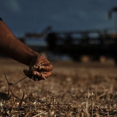 Juiz suspende dívida de produtor e impede negativação de crédito agrícola